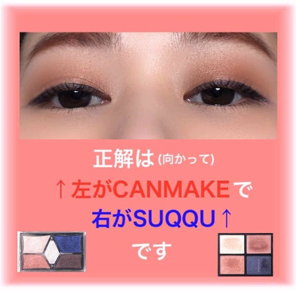 【旧品】パーフェクトスタイリストアイズ/キャンメイク/アイシャドウパレットを使ったクチコミ(3枚目)