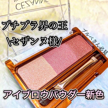 ノーズ&アイブロウパウダー/CEZANNE/パウダーアイブロウを使ったクチコミ(1枚目)