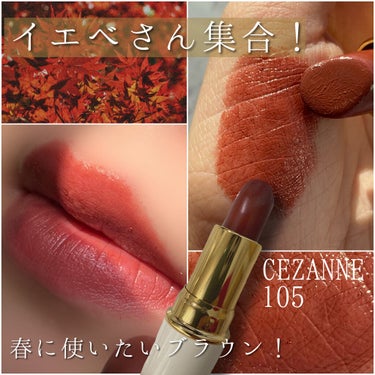 ラスティング リップカラーN 105 ブラウン系/CEZANNE/口紅を使ったクチコミ（1枚目）