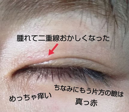 ふたえテープ 02 ヌーディーワイド/LOUJENE/二重まぶた用アイテムを使ったクチコミ(2枚目)