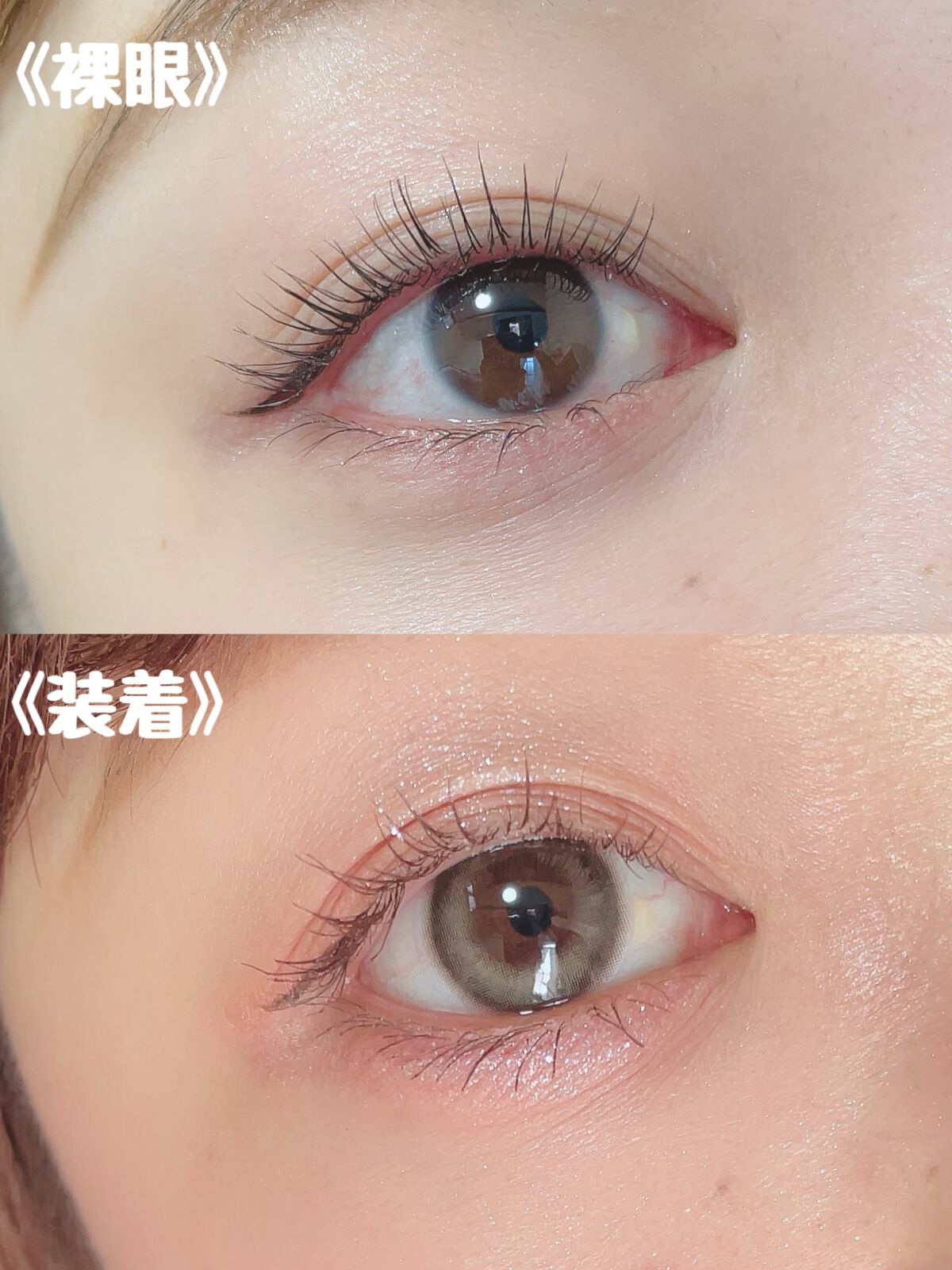 ごんす@YouTube始めました on LIPS 「《子犬みたいなキュルンとした瞳に❤︎》メランジェシュエットワン..」(3枚目)