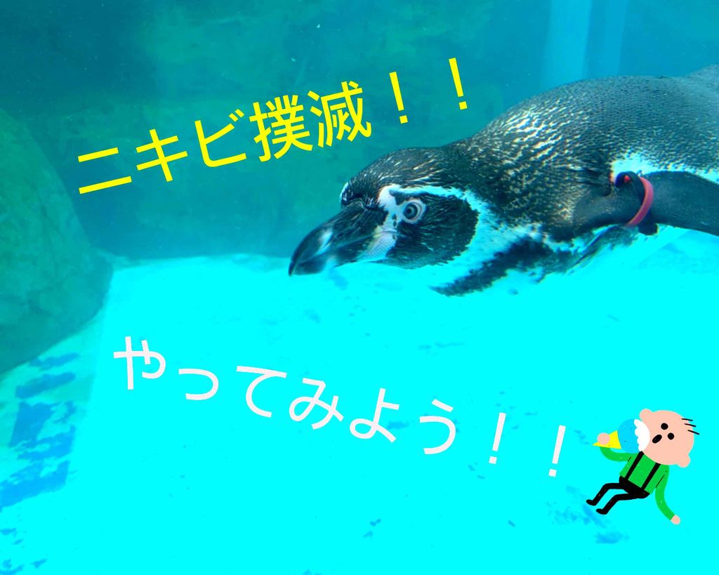 ウォッシャブル コールド クリーム/ちふれ/クレンジングクリームを使ったクチコミ（1枚目）