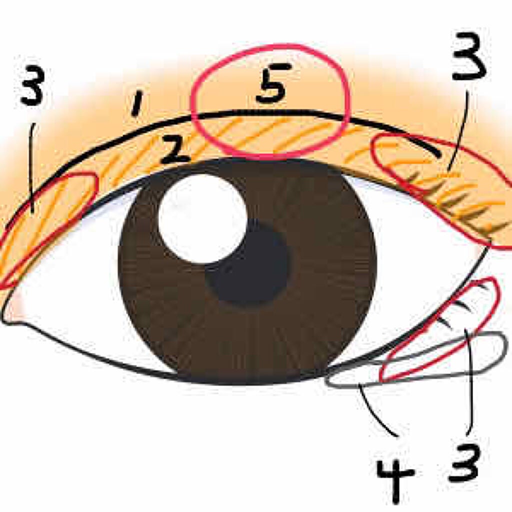 【旧品】パーフェクトスタイリストアイズ/キャンメイク/アイシャドウパレットを使ったクチコミ(3枚目)