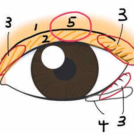 【旧品】パーフェクトスタイリストアイズ/キャンメイク/アイシャドウパレットを使ったクチコミ(3枚目)