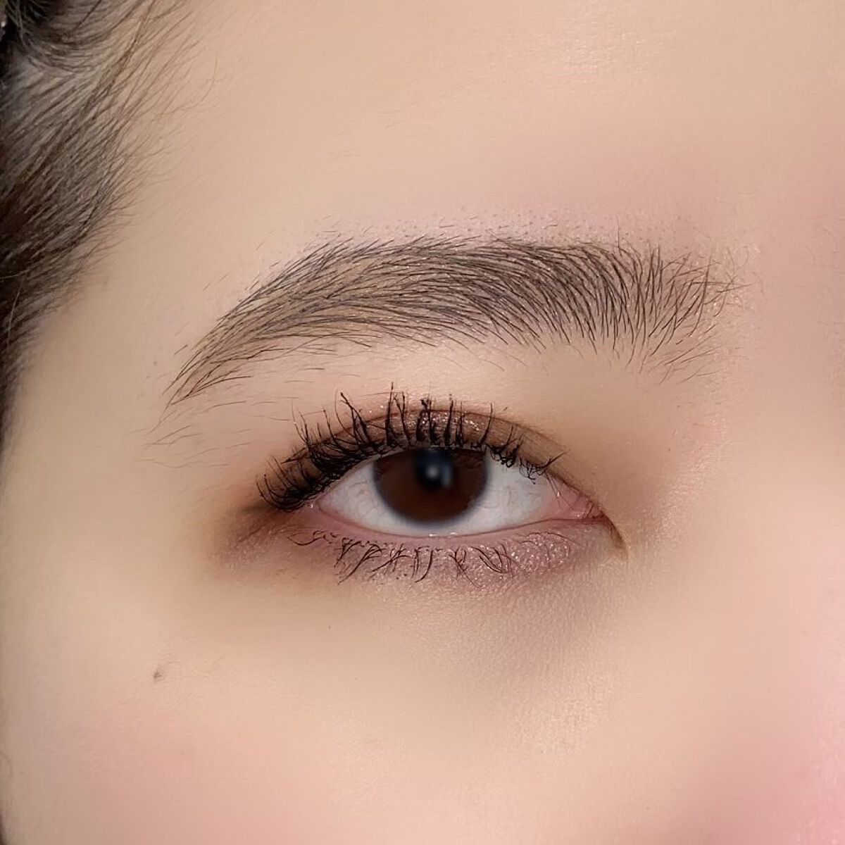 シャンテカイユ ジラフ・アイ・カルテット/シャンテカイユ/アイシャドウパレットを使ったクチコミ（2枚目）