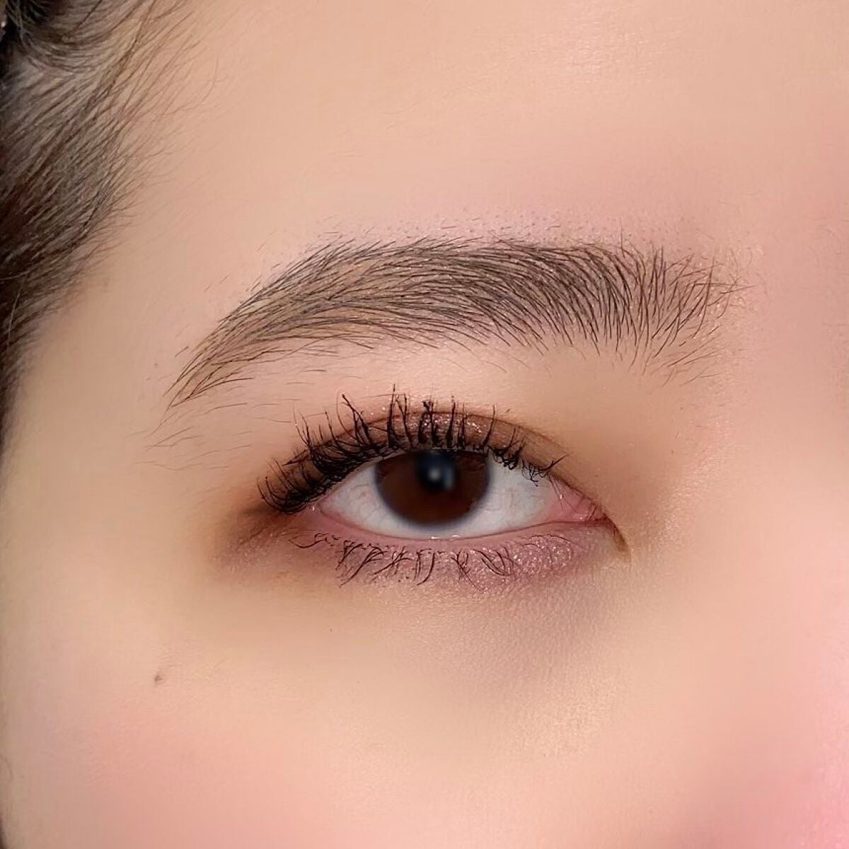 シャンテカイユ ジラフ・アイ・カルテット/シャンテカイユ/アイシャドウパレットを使ったクチコミ(2枚目)