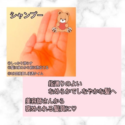 スムースシャンプー/トリートメント/ナノアミノプレミアム/サロンシャンプーを使ったクチコミ(3枚目)