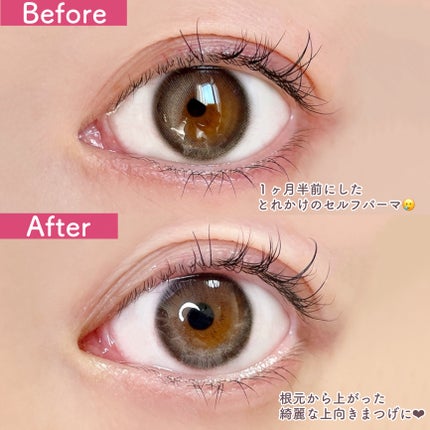 パーマイットアップアイラッシュパーマキット/Loingz/その他キットセットを使ったクチコミ(6枚目)