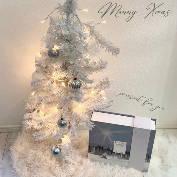 センテラ アンプル/SKIN1004/美容液 by ori