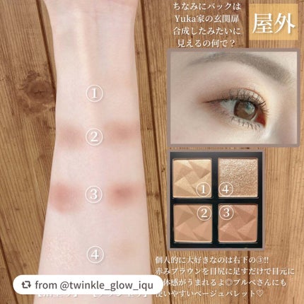 アイスカルプト/shu uemura/アイシャドウパレットを使ったクチコミ(5枚目)