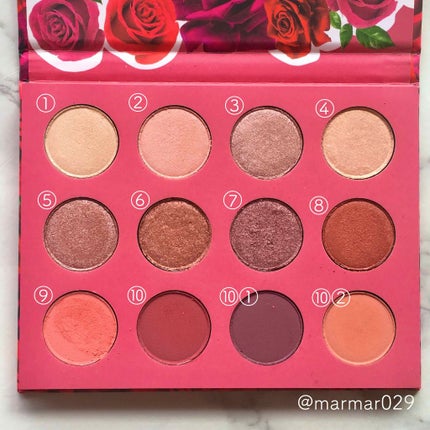 Fem Rosa Karrueche - Pressed Powder Shadow Palette - She/ColourPop/アイシャドウパレットを使ったクチコミ(2枚目)