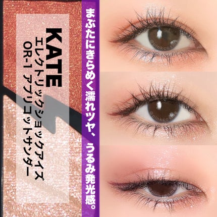 エレクトリックショックアイズ /KATE/アイシャドウパレットを使ったクチコミ(1枚目)