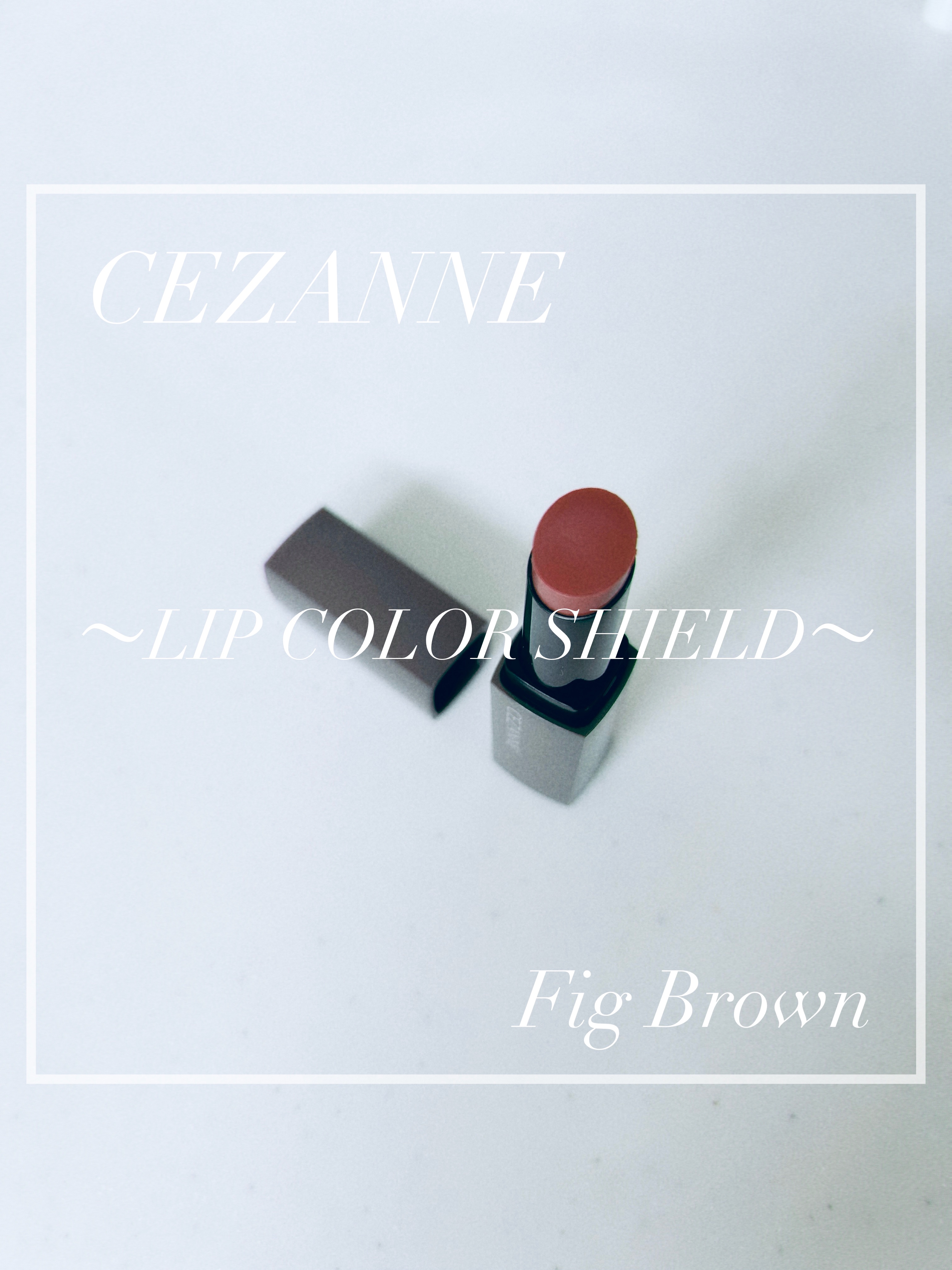 リップカラーシールド 01 フィグブラウン/CEZANNE/口紅を使ったクチコミ（1枚目）