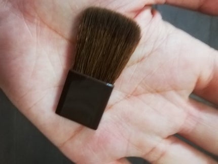 パールグロウハイライト/CEZANNE/パウダーハイライトを使ったクチコミ(3枚目)