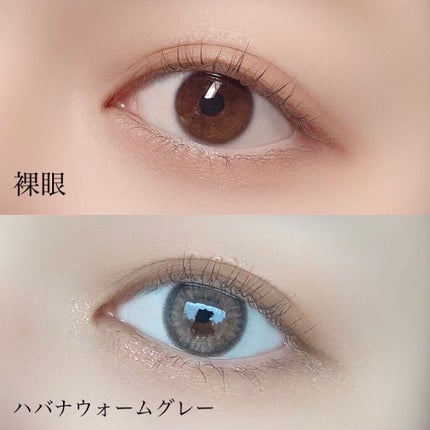 ハバナシリーズ/LENSSIS/カラーコンタクトレンズを使ったクチコミ(3枚目)