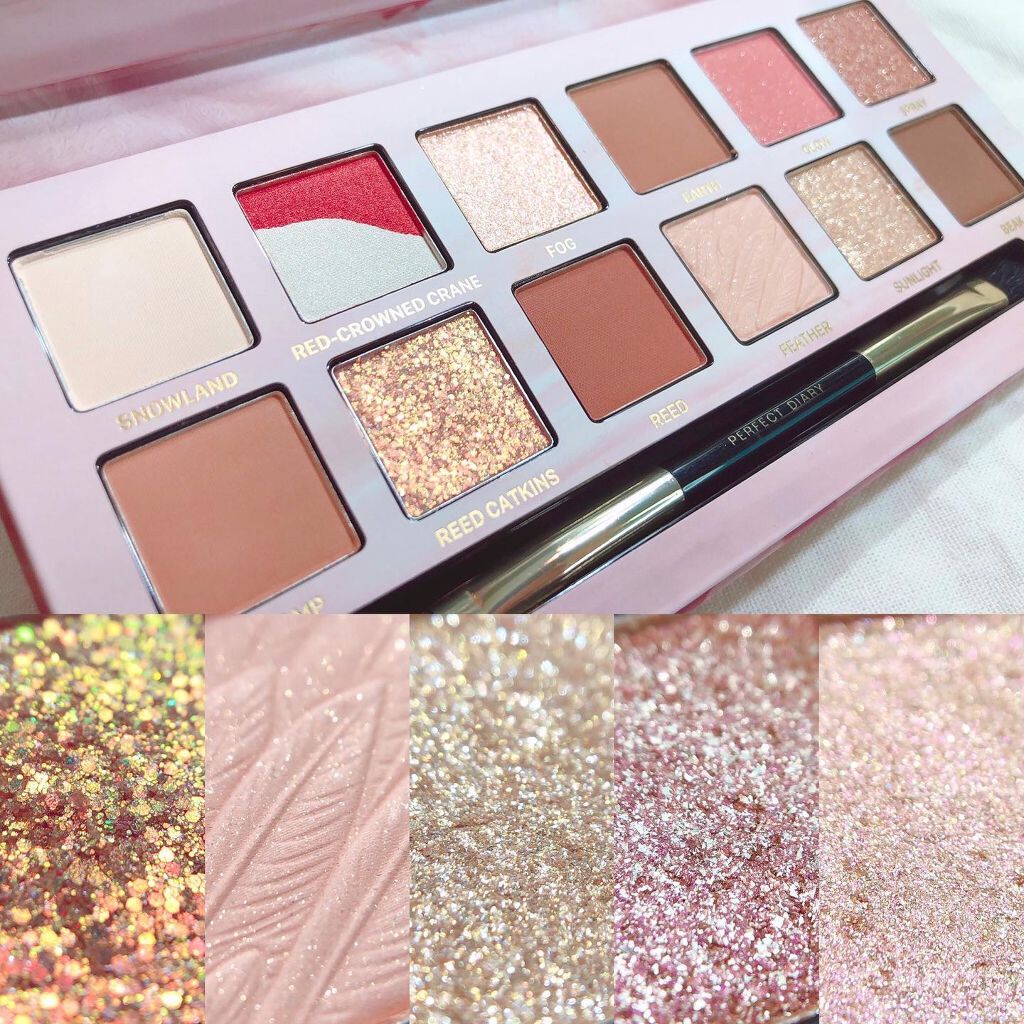 エクスプローラ12色 動物アイシャドウパレット/PERFECT DIARY/アイシャドウパレットを使ったクチコミ(2枚目)