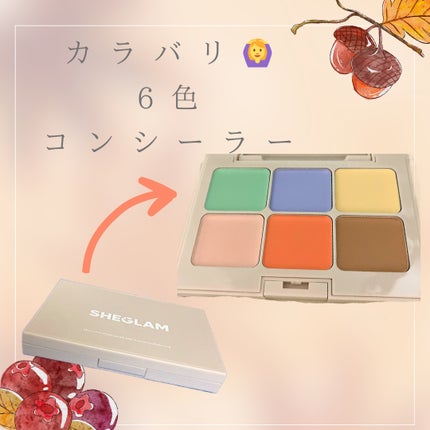マルチフィックスコンシーラー&カラーコレクター/SHEGLAM/パレットコンシーラーを使ったクチコミ(1枚目)