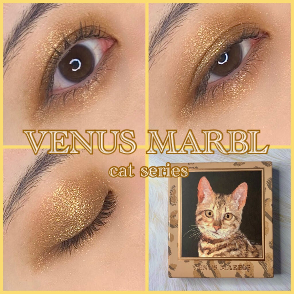 Venus Marble アイシャドウキャットシリーズ/Venus Marble/アイシャドウパレットを使ったクチコミ(1枚目)