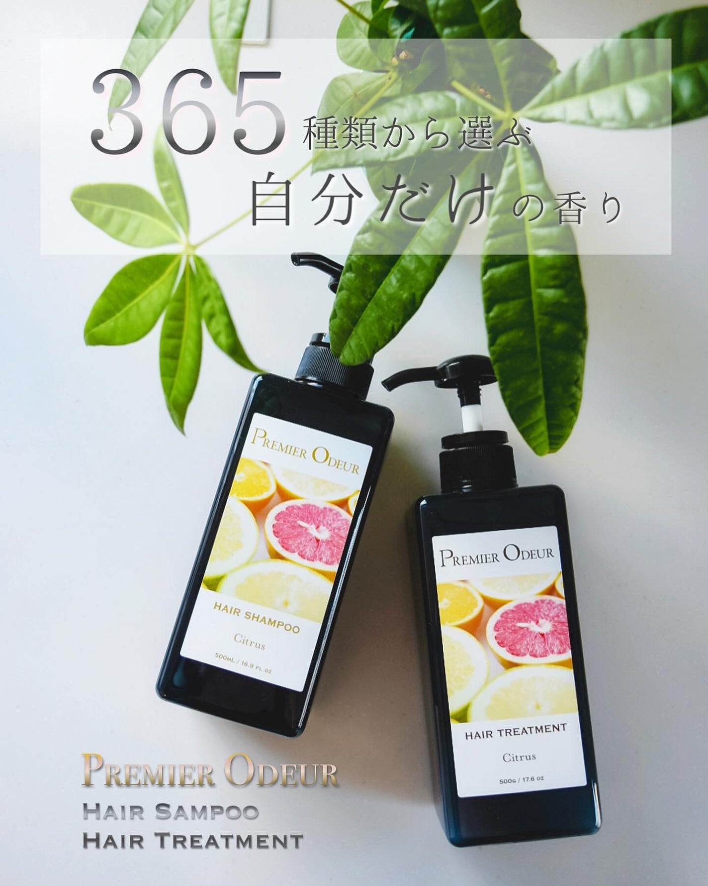 プルミエ オドゥール シャンプー / トリートメント/premier odeur/市販シャンプーを使ったクチコミ(1枚目)