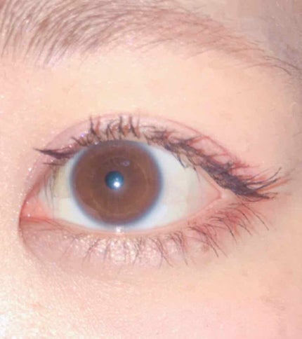 【旧品】パーフェクトスタイリストアイズ/キャンメイク/アイシャドウパレットを使ったクチコミ(1枚目)