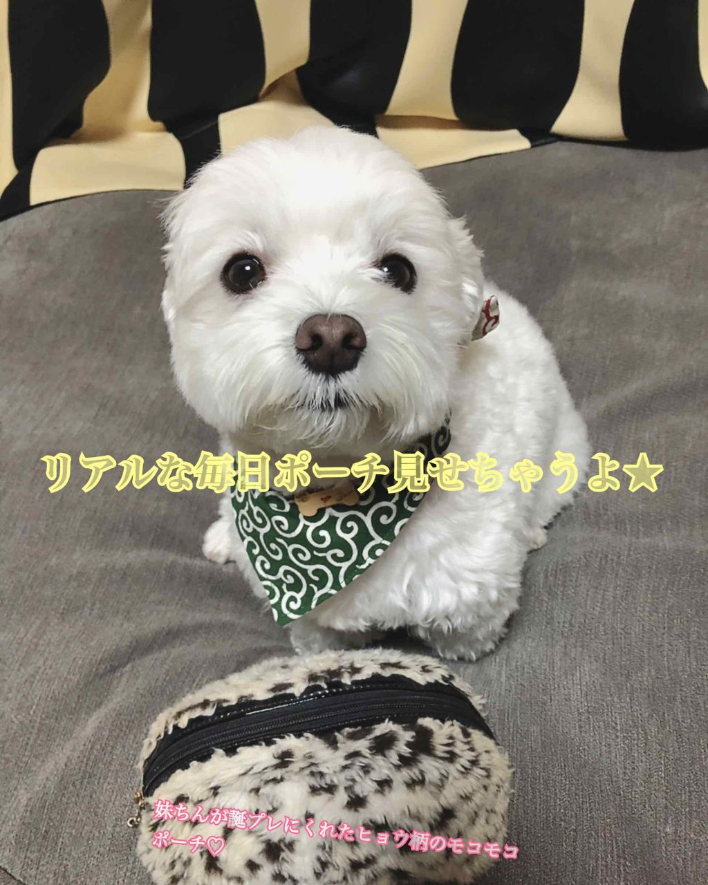 エアリータッチミスト/クラブ/ミスト状化粧水を使ったクチコミ（1枚目）