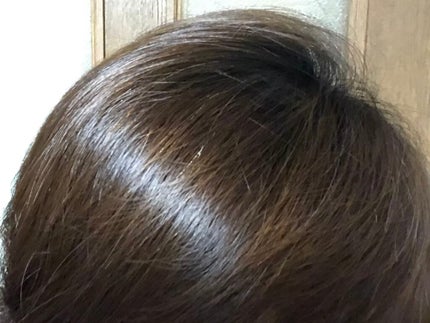 オーガニックジョセフィン シャンプー/トリートメント/ORGANIC JOSEFIN/市販シャンプーを使ったクチコミ(2枚目)