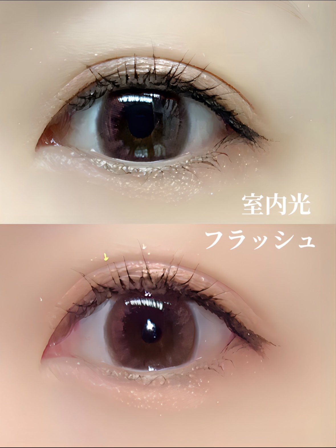 LuMia comfort 1day CIRCLE/LuMia/ワンデー（１DAY）カラコンを使ったクチコミ（2枚目）