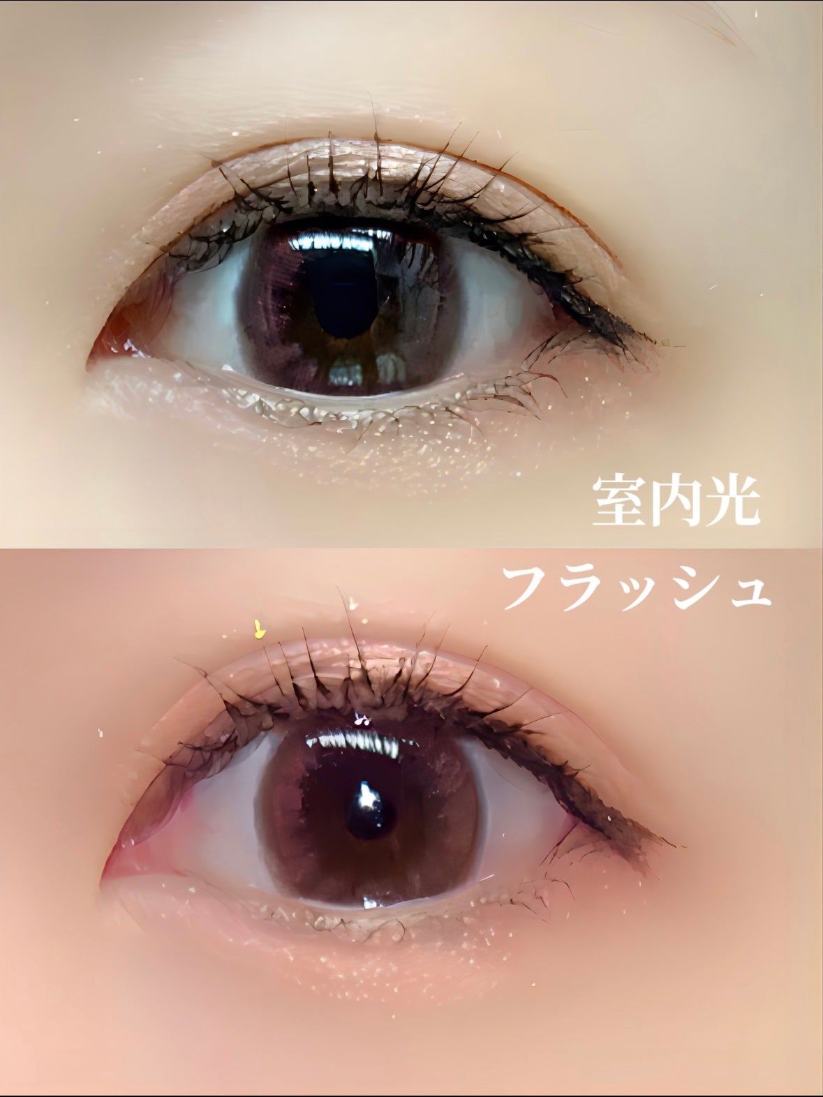 LuMia comfort 1day CIRCLE/LuMia/ワンデー(1DAY)カラコンを使ったクチコミ(2枚目)