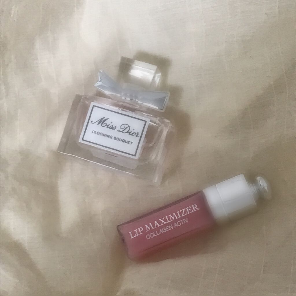 【旧】ディオール アディクト リップ マキシマイザー/Dior/リップグロスを使ったクチコミ（1枚目）