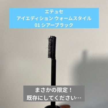 頼むから既存にして😔
有能すぎるこのブラシ！！！！！

👀ettusais
　アイエディション (マスカラベース)
　ウォームスタイル01 シアーブラック

商品名長すぎて、ほんまにあってるか公式HP3