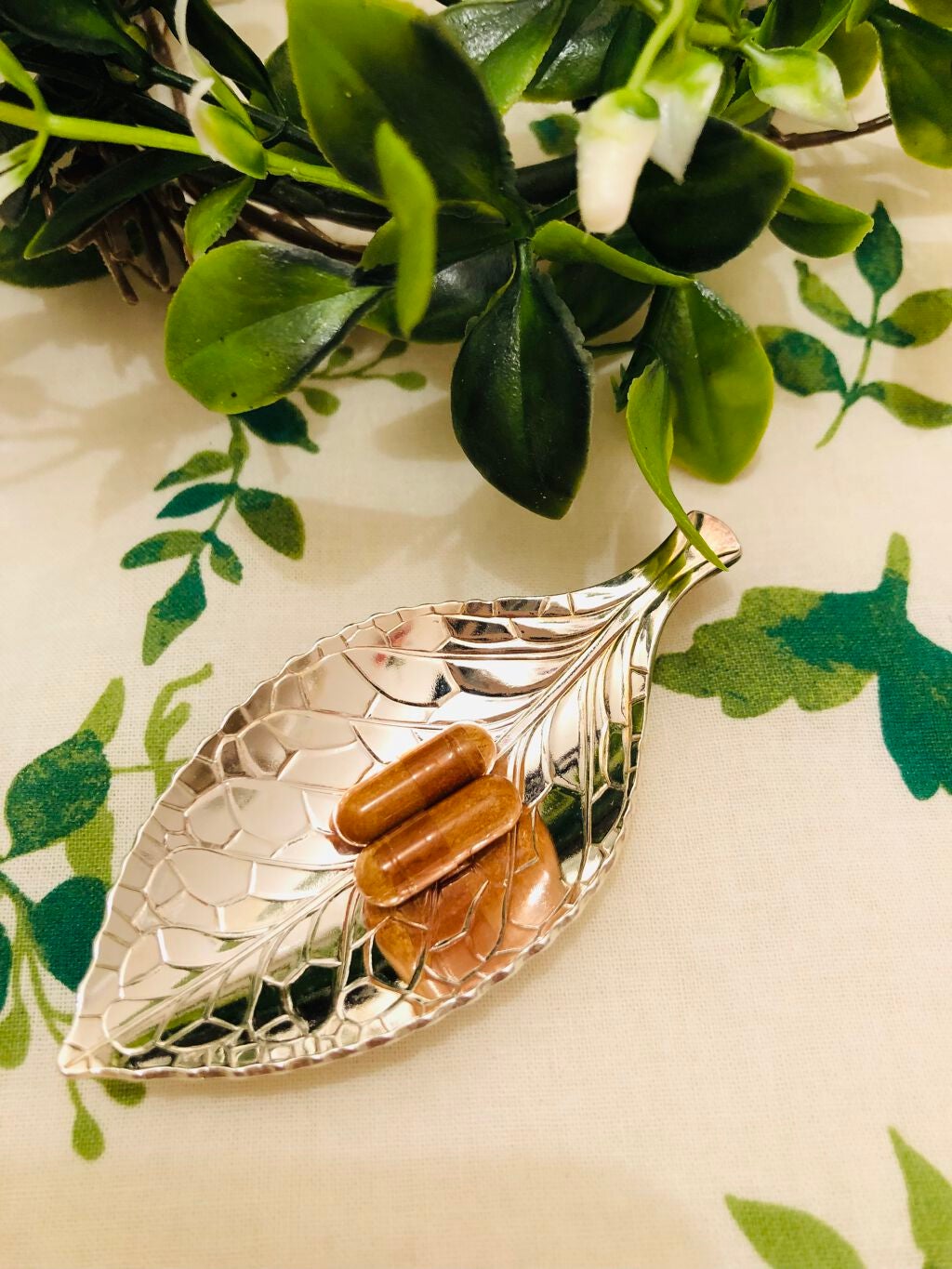 NMN+サイタイ/fracora/健康サプリメントを使ったクチコミ(3枚目)