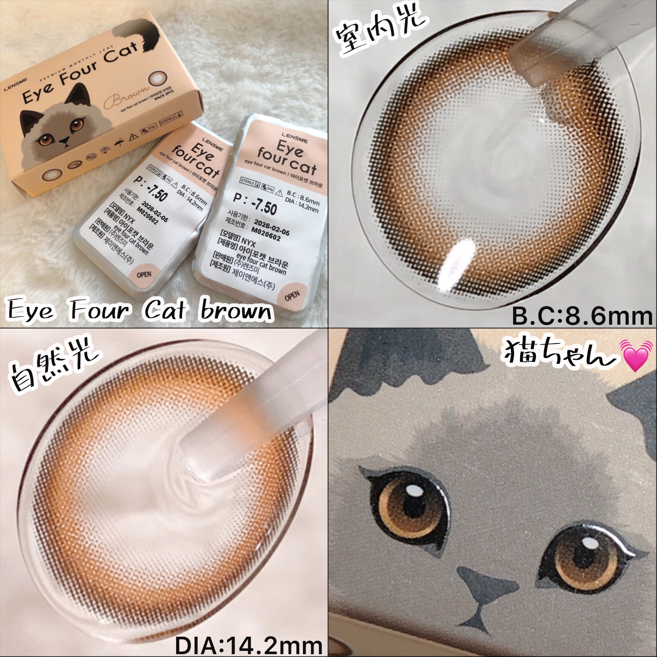Eye Four Cat/LENSME/カラーコンタクトレンズを使ったクチコミ（2枚目）