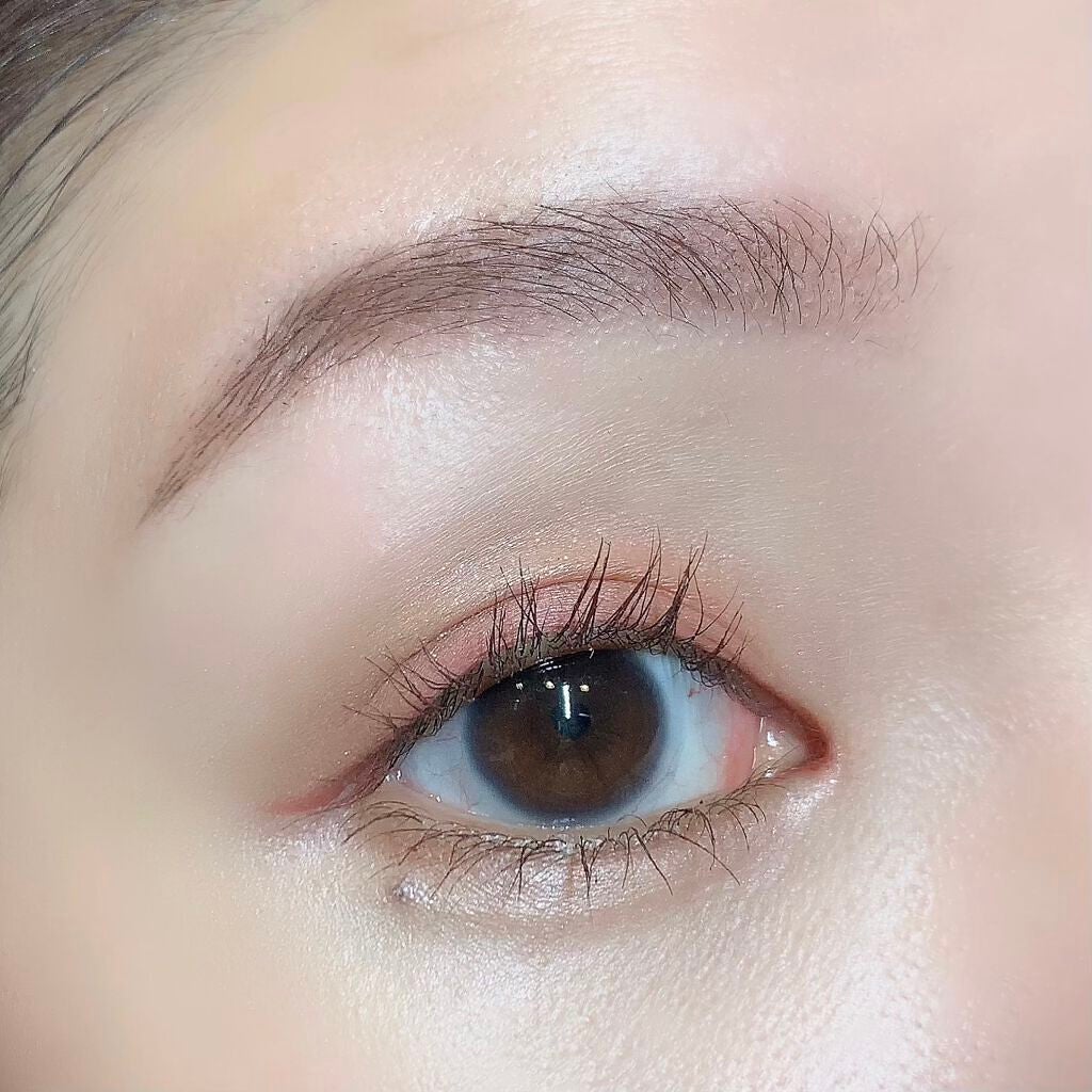 パノラマデザイン アイパレット/Visée/アイシャドウパレットを使ったクチコミ(6枚目)