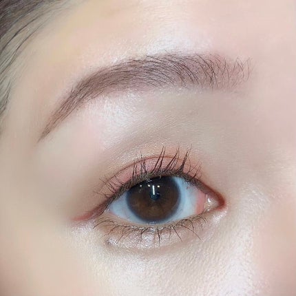 パノラマデザイン アイパレット/Visée/アイシャドウパレットを使ったクチコミ(6枚目)