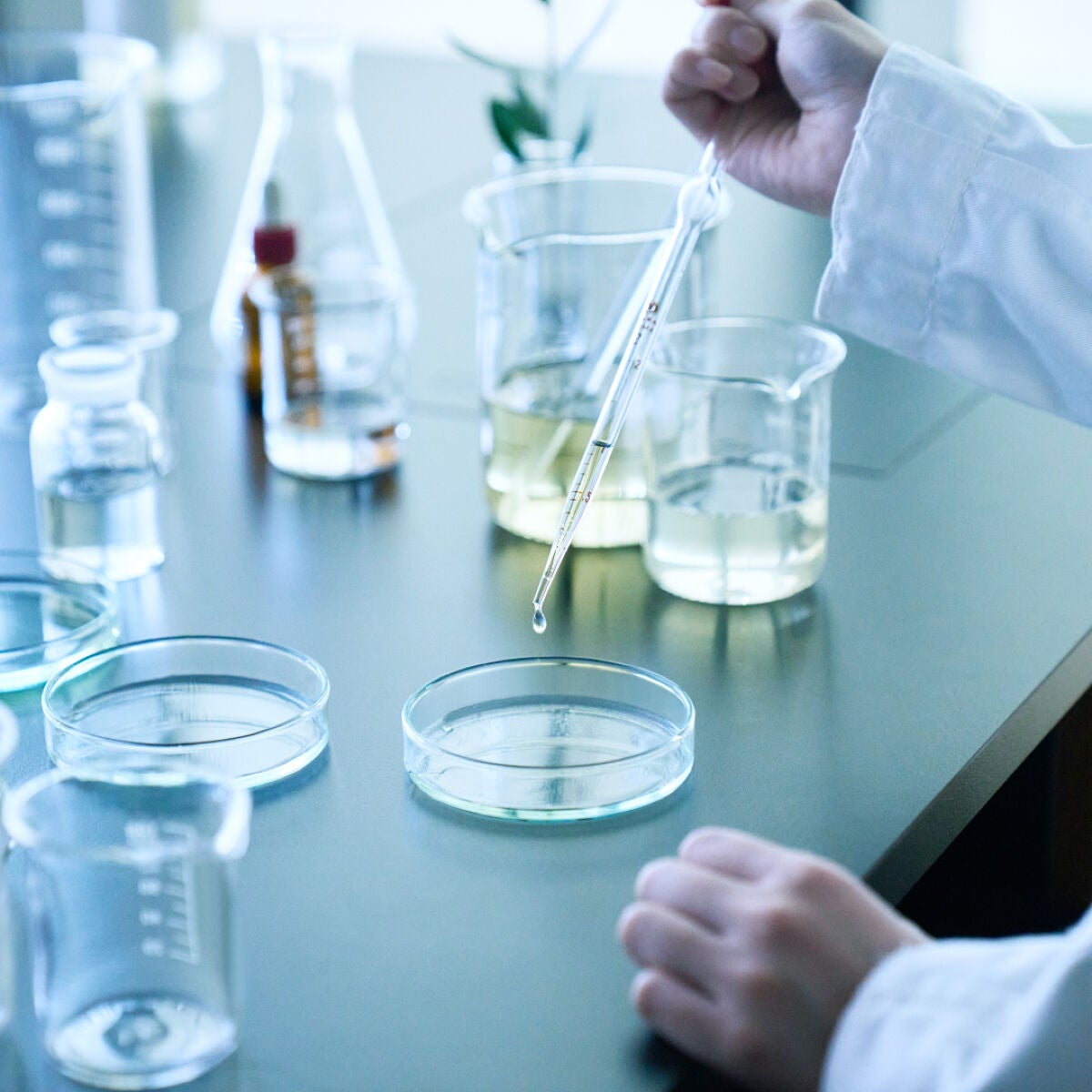 ボタニカルシャンプー/トリートメント(モイスト) /BOTANIST/シャンプー・コンディショナーを使ったクチコミ(2枚目)