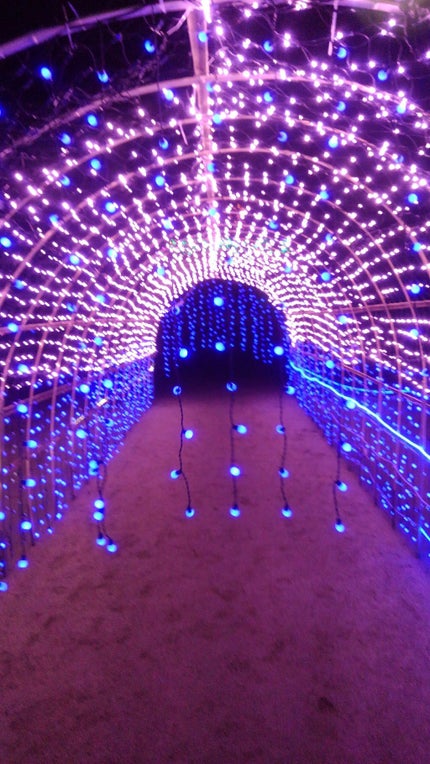 マジョロマンティカ/MAJOLICA MAJORCA/香水(レディース)を使ったクチコミ(4枚目)