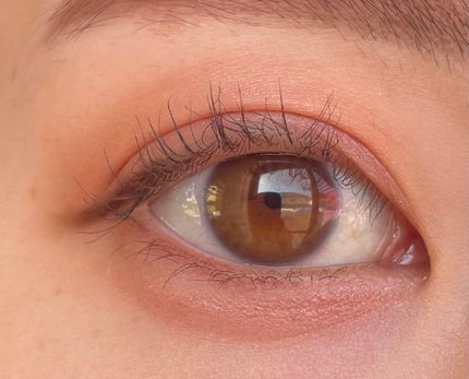 レ キャトル オンブル/CHANEL/アイシャドウパレットを使ったクチコミ(6枚目)