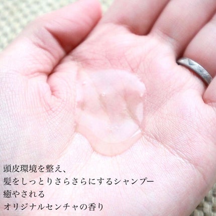 ボタアンド ザ コンディショナー <sencha>/クオリティファースト/シャンプー・コンディショナーを使ったクチコミ(3枚目)