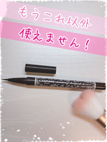 もうこれ以外使えない！大好きなリキットアイライナー♡♡





こんにちは🧸𖤐⡱
私が大好きで常に持っている、アイライナーを紹介します♡



キャンメイク
ラスティングリキッドライナー
No.02 