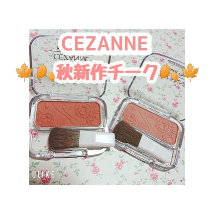 ナチュラル チークN/CEZANNE/パウダーチークを使ったクチコミ(1枚目)