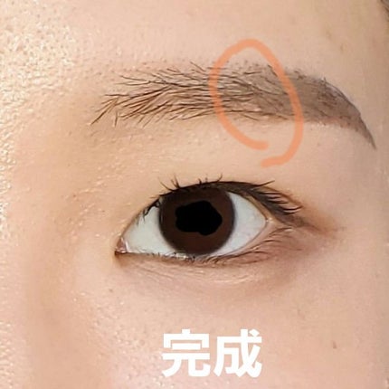 ノーズ&アイブロウパウダー/CEZANNE/パウダーアイブロウを使ったクチコミ(5枚目)