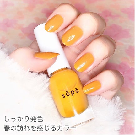 パウダー&ライナー/sopo/スティックアイシャドウを使ったクチコミ(9枚目)