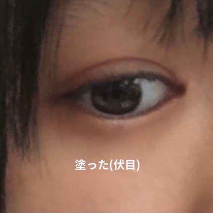 ラスティングマルチアイベース WP/キャンメイク/アイシャドウベースを使ったクチコミ(5枚目)