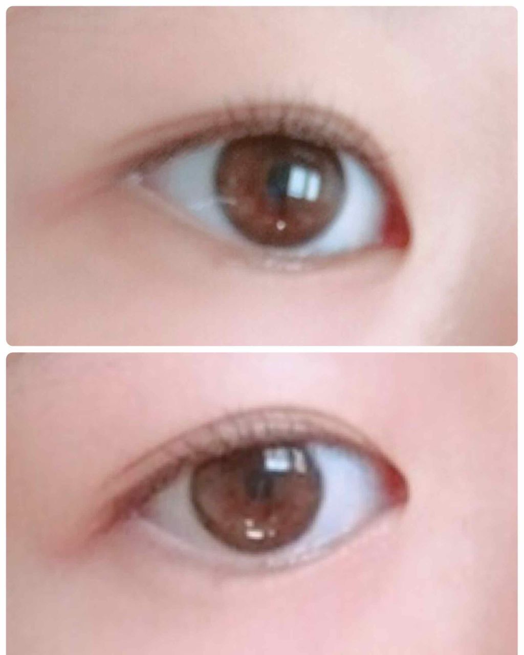 パワフルカール マスカラ EX (ロング)/FASIO/マスカラを使ったクチコミ(2枚目)