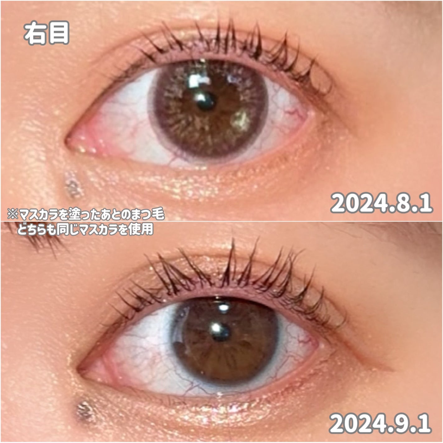 ラッシュリッチアイラッシュセラム/ロート製薬/まつげ美容液を使ったクチコミ(4枚目)