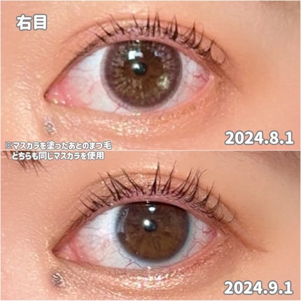 ラッシュリッチアイラッシュセラム/ロート製薬/まつげ美容液を使ったクチコミ(4枚目)