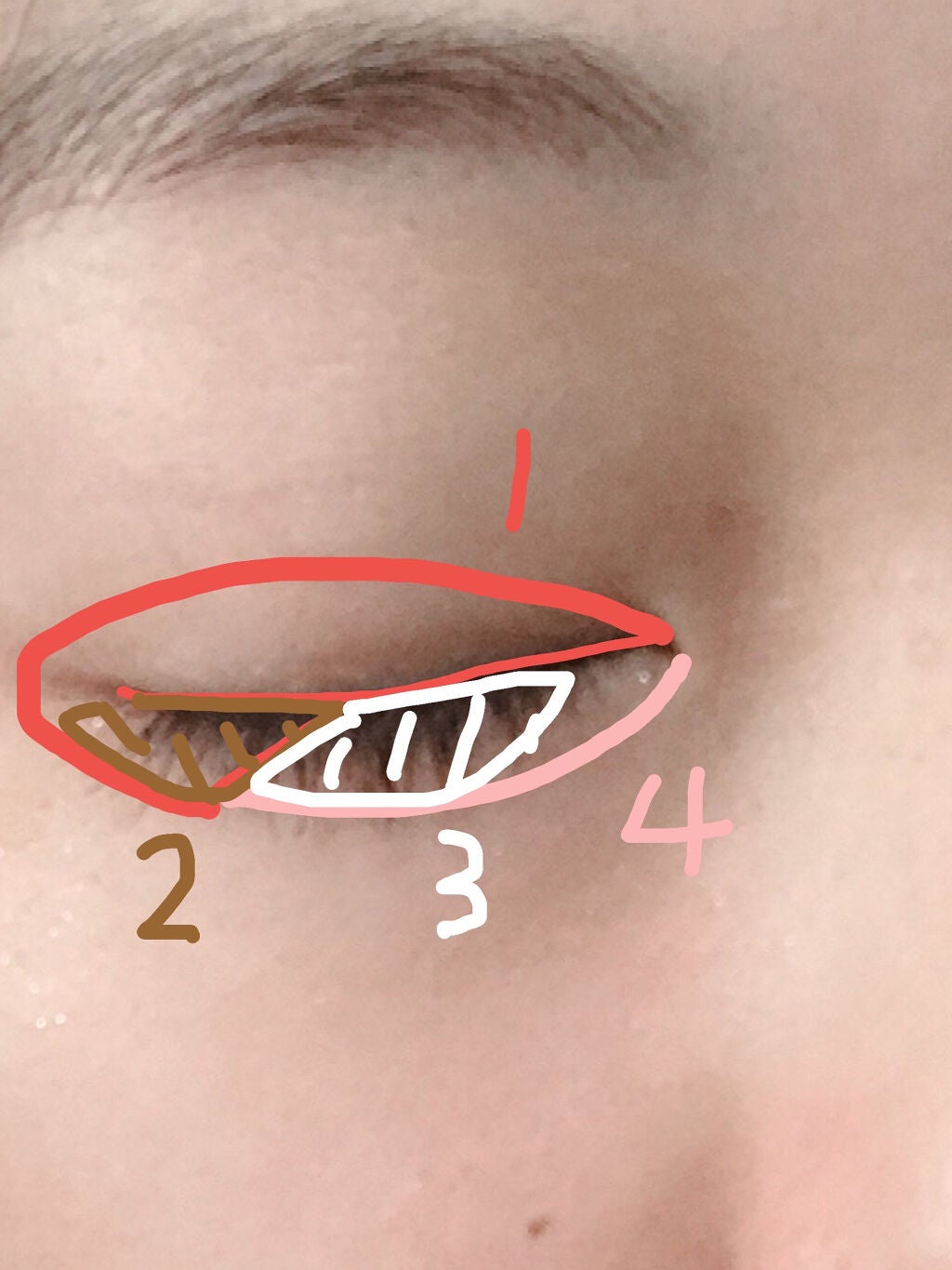 グラデーション アイシャドウ/ちふれ/アイシャドウパレットを使ったクチコミ(3枚目)