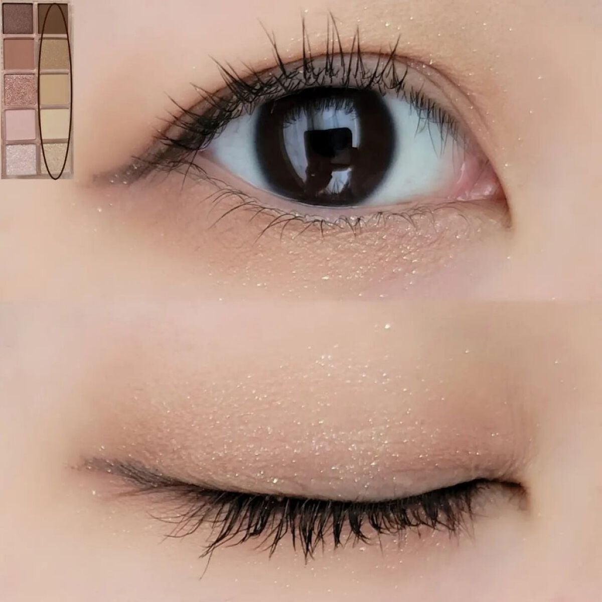 シーズナルブレンディングアイシャドウパレット/Peach C/アイシャドウパレットを使ったクチコミ(4枚目)