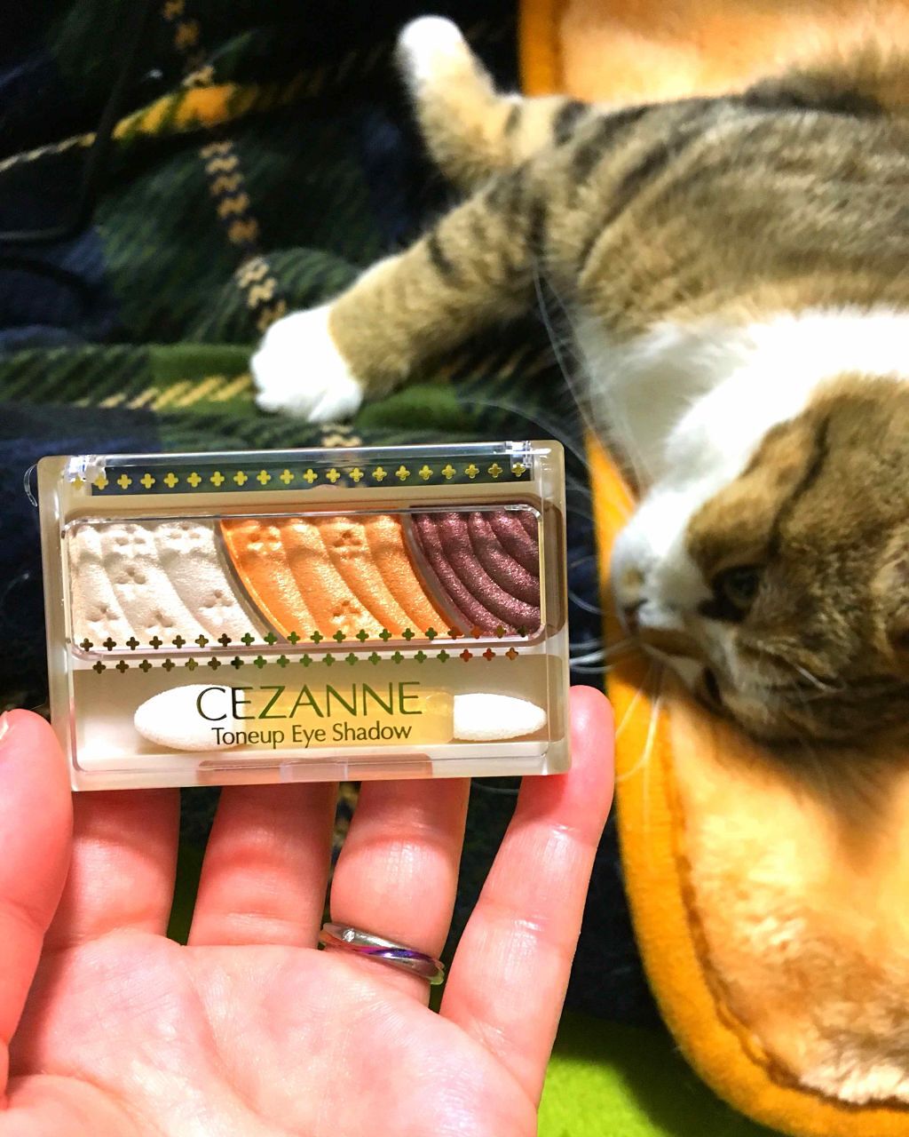 トーンアップアイシャドウ/CEZANNE/アイシャドウパレットを使ったクチコミ（1枚目）