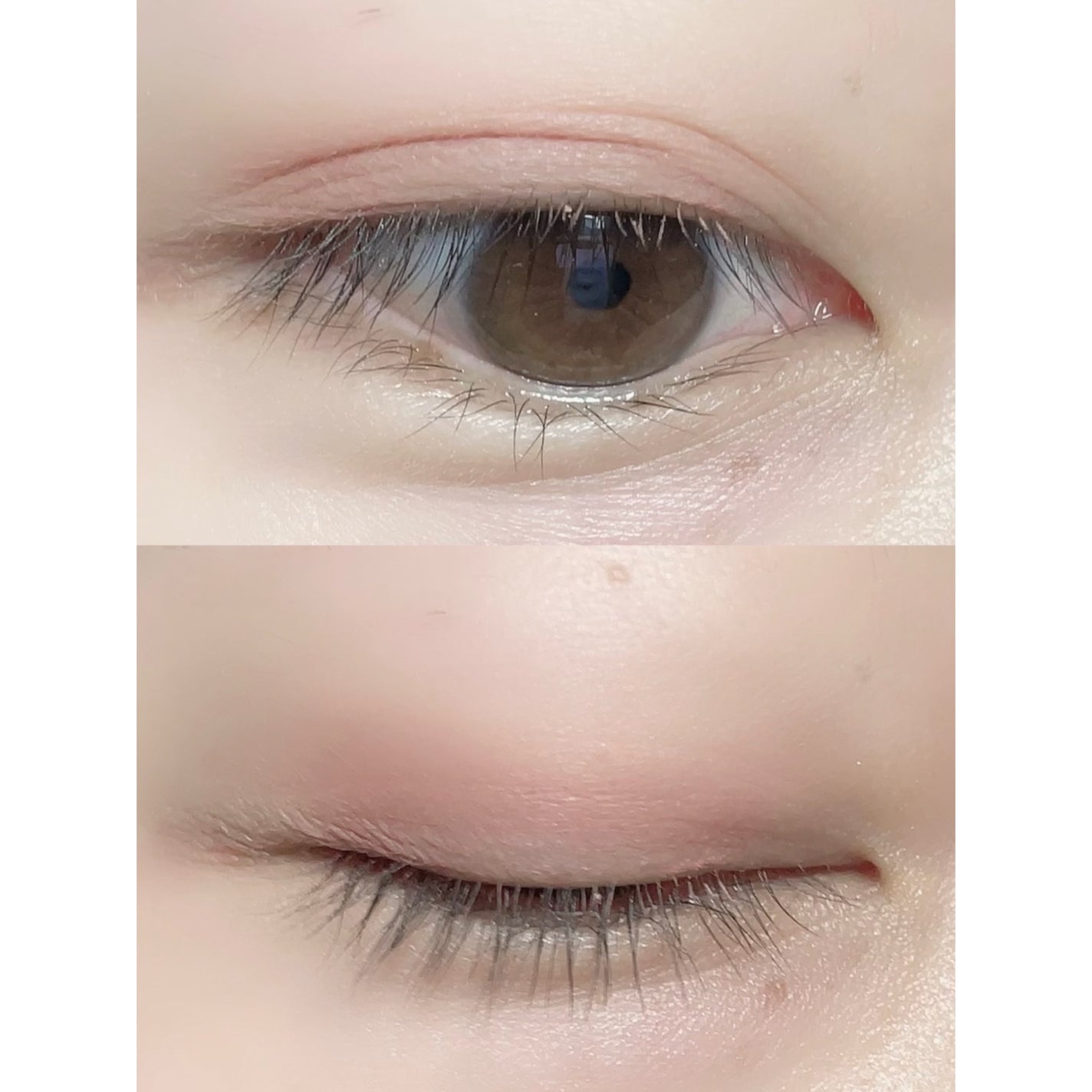 シャドウパレット/dasique/アイシャドウパレットを使ったクチコミ(1枚目)